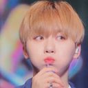 ぶーちゃん（24）ハニの妹