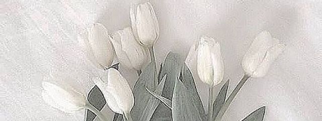 め🌱 ͛.*さんの壁紙画像