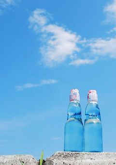 夏 が 始 ま っ た 合 図 が し た 。