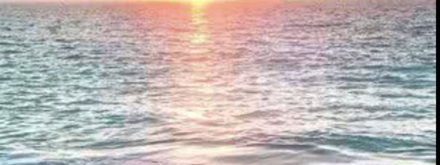 🌸愛魔音🌸さんの壁紙画像