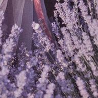 なーこさんのアイコン画像