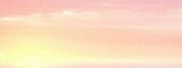 しゃけさんの壁紙画像