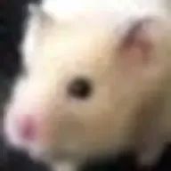 🐰ミノさんのアイコン画像