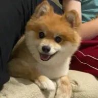 Reullaさんのアイコン画像