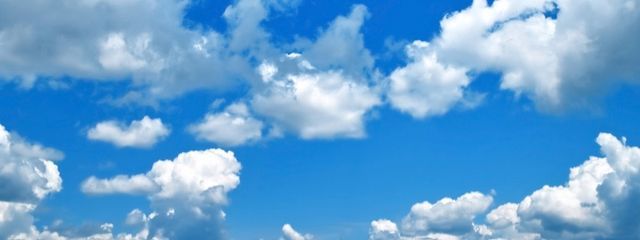 アムネちゃん。❄️さんの壁紙画像