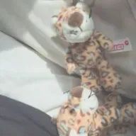 Kiiiiさんのアイコン画像