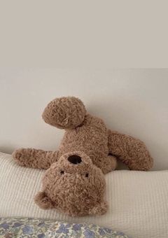 新しいふくろう