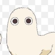 Kioさんのアイコン画像