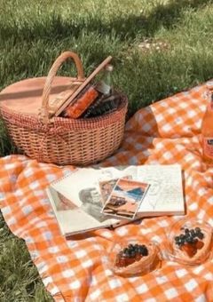 今日好きになりました〜釜山編〜