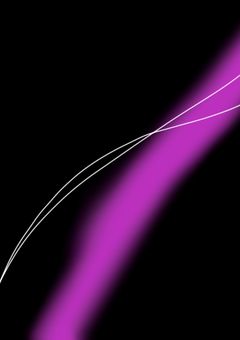 僕が………女神？……男なんだけど……。