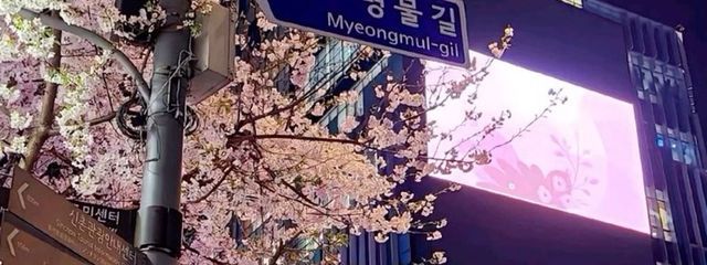 戦慄 春妃さんの壁紙画像