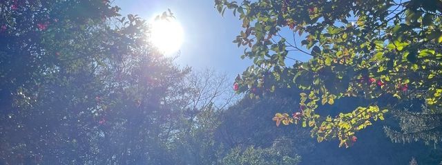 LuKaさんの壁紙画像