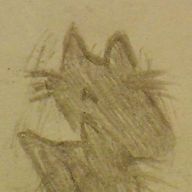 しゃのわーる。＠杉過激派さんのアイコン画像