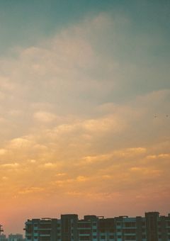 隣の君に恋をする