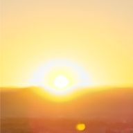 れもんてぃーさんのアイコン画像