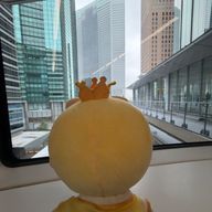 ぴぴさんのアイコン画像