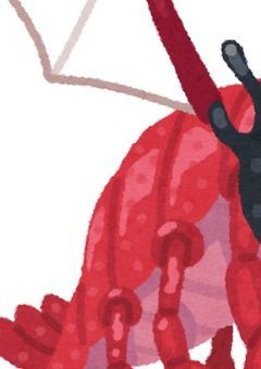 神格達の調理法