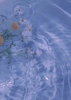 とーくるーむ🎐