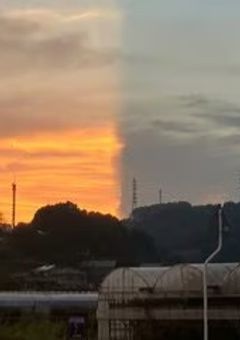 いらない事裁判所