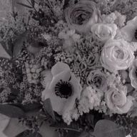 アニャさんのアイコン画像