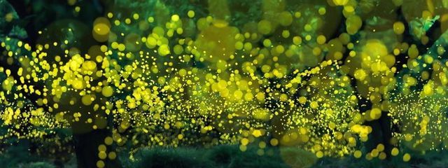 ︎︎🌥️さんの壁紙画像