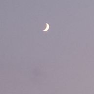 おまめさんのアイコン画像