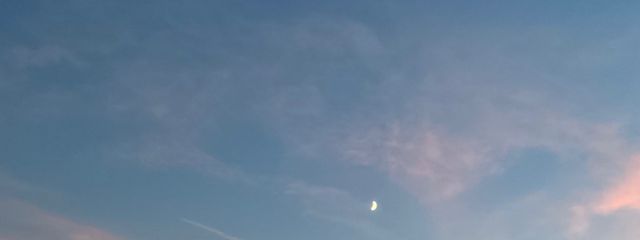 無垢。さんの壁紙画像