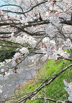 都道府県たちのRPG