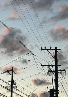 みっしょんこんぷり〜と！