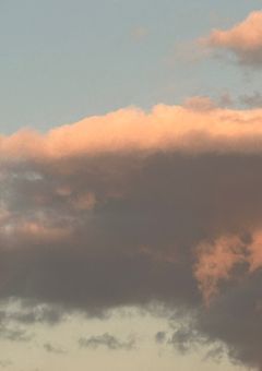 このちゃ の本音 べや