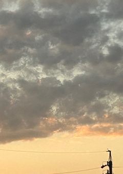 this was all a dream