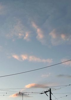 学校一の不良くん、僕だけに甘いです