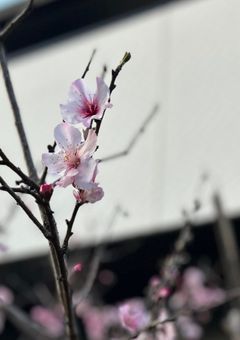 ずっと、ずっと、この先も