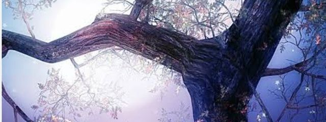 千絵さんの壁紙画像