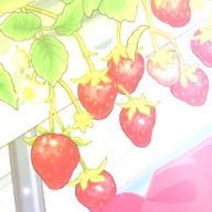 メメ。さんのアイコン画像