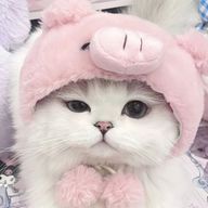 もつ煮込みさんのアイコン画像