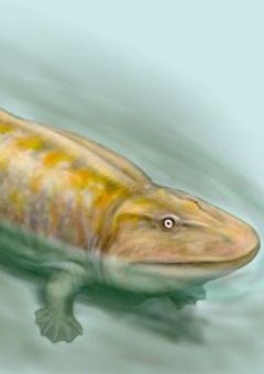 ライトの雑談部屋