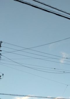 カープのみんながいるよー