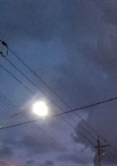 ウルトラ最強カープを妄想する