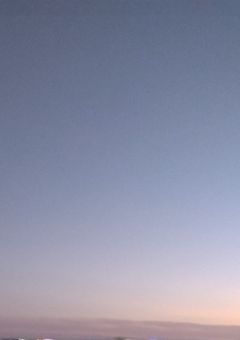 NPB全選手女子化計画～野間は抜き～