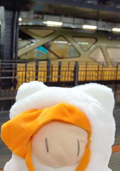 ZPがぬい作るわよ!!!