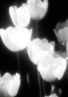 ☃️ sn BL短編集