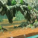 フロイド・リーチ