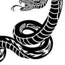 ジャミル・バイパー