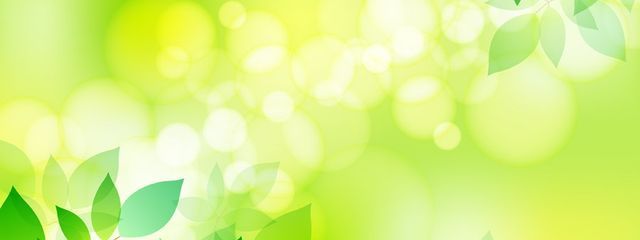 転生しても無職だった件さんの壁紙画像