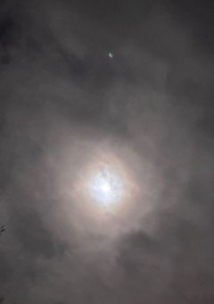 ずっと好きだった彼はドSでした