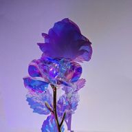 名無しさんさんのアイコン画像