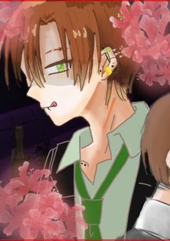 夜のネリネの花びらに