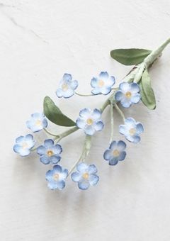 一期一会 の 機会 に 。