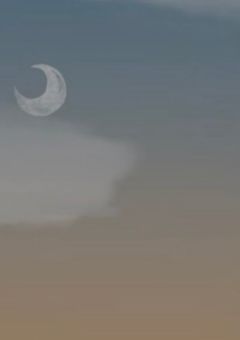 忘れっぽい君と 。